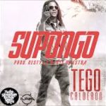 Tego Calderon - Supongo MP3